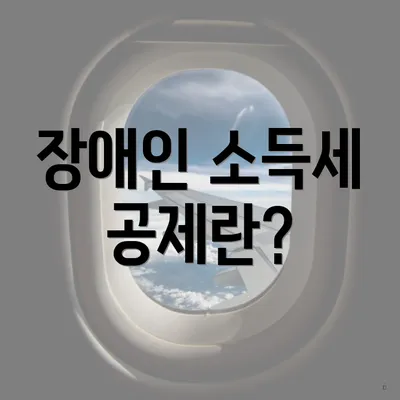장애인 소득세 공제란?