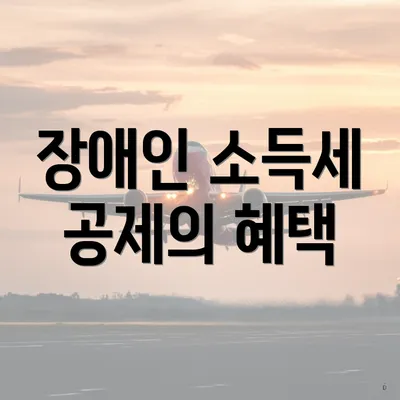 장애인 소득세 공제의 혜택