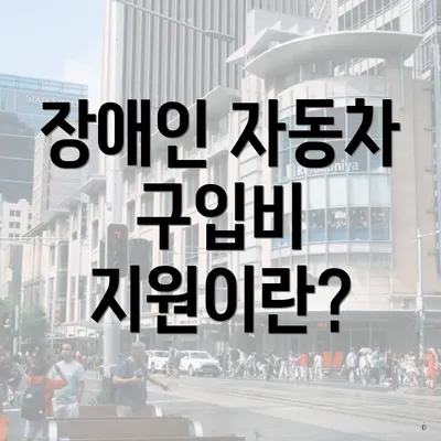 장애인 자동차 구입비 지원이란?