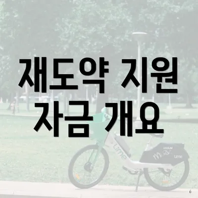 재도약 지원 자금 개요
