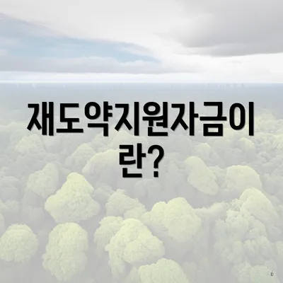 재도약지원자금이란?