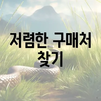 저렴한 구매처 찾기