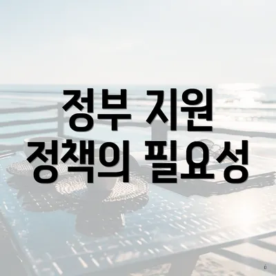 정부 지원 정책의 필요성