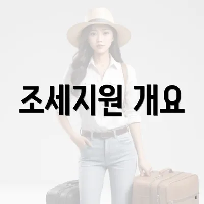 조세지원 개요