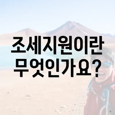 조세지원이란 무엇인가요?