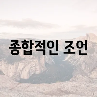 종합적인 조언