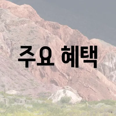 주요 혜택
