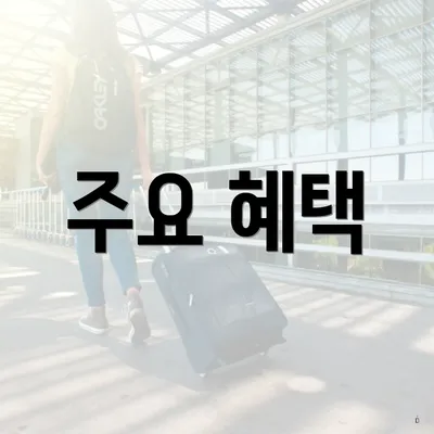 주요 혜택