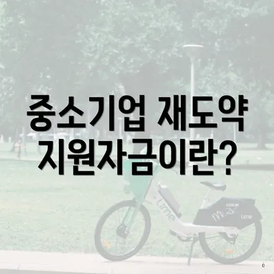 중소기업 재도약지원자금이란?
