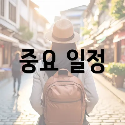 중요 일정