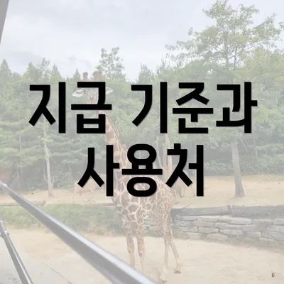 지급 기준과 사용처