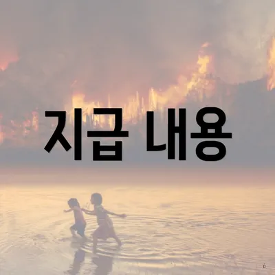 지급 내용