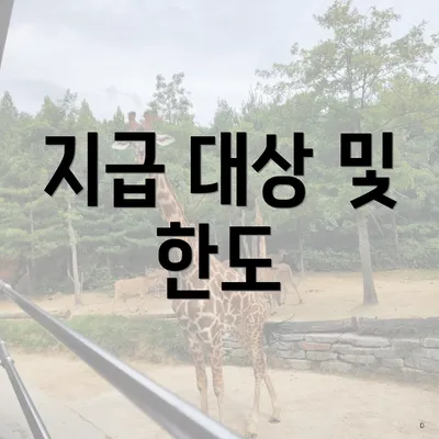 지급 대상 및 한도