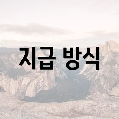 지급 방식