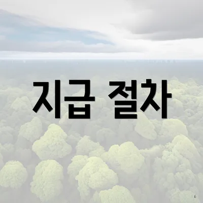 지급 절차