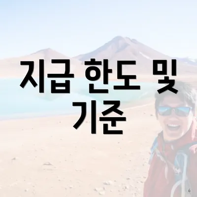 지급 한도 및 기준