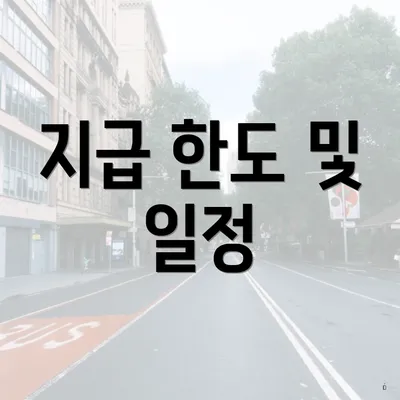 지급 한도 및 일정