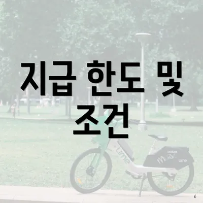 지급 한도 및 조건