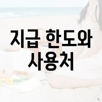 지급 한도와 사용처