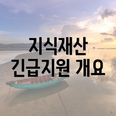 지식재산 긴급지원 개요