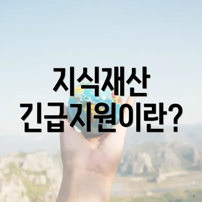 지식재산 긴급지원이란?