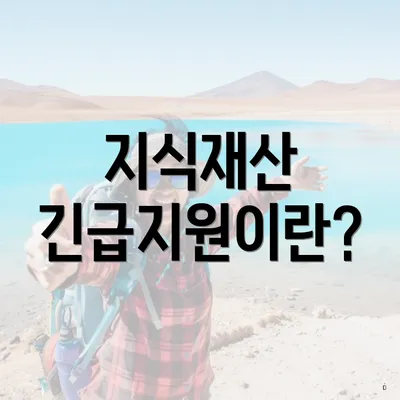 지식재산 긴급지원이란?