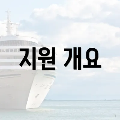 지원 개요