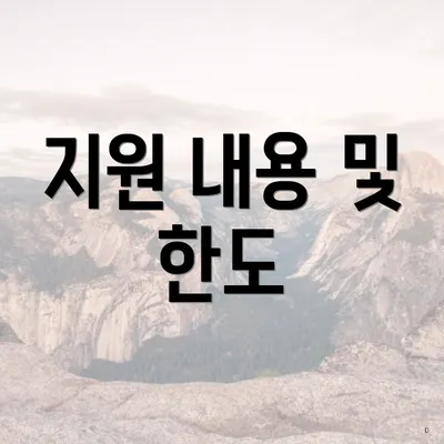 지원 내용 및 한도