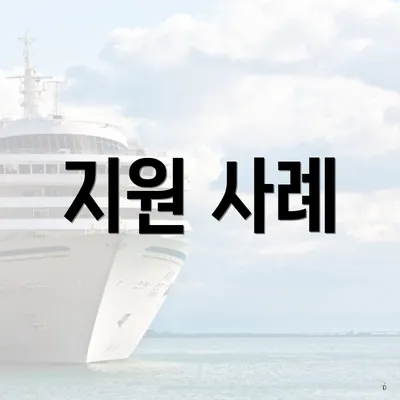지원 사례