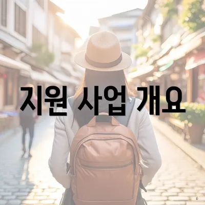 지원 사업 개요