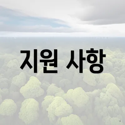 지원 사항