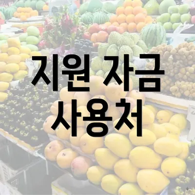 지원 자금 사용처