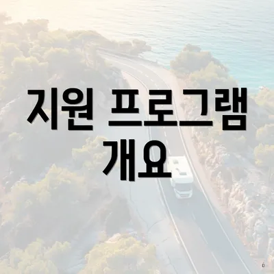 지원 프로그램 개요