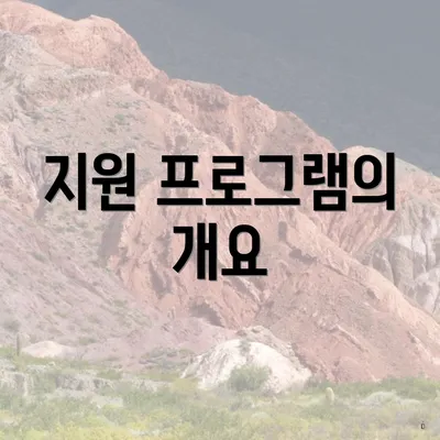 지원 프로그램의 개요
