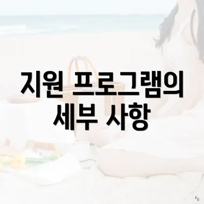 지원 프로그램의 세부 사항