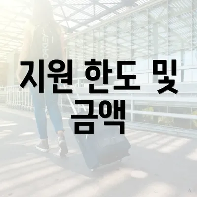 지원 한도 및 금액
