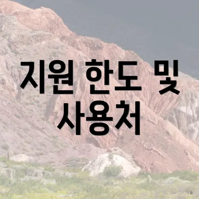 지원 한도 및 사용처
