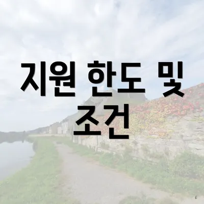 지원 한도 및 조건
