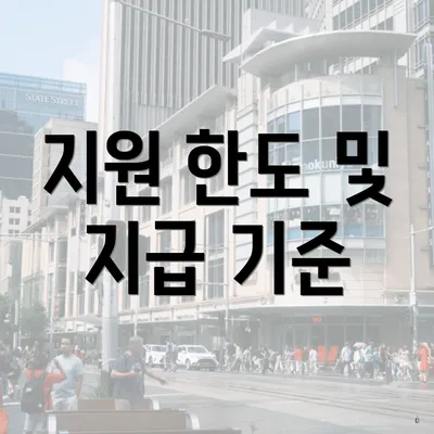 지원 한도 및 지급 기준