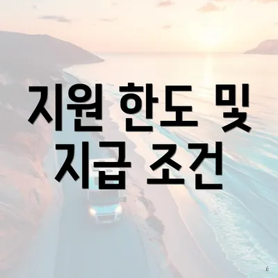 지원 한도 및 지급 조건
