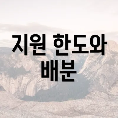 지원 한도와 배분