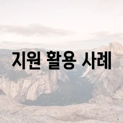 지원 활용 사례