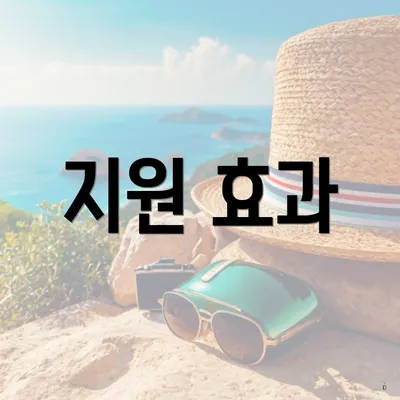 지원 효과