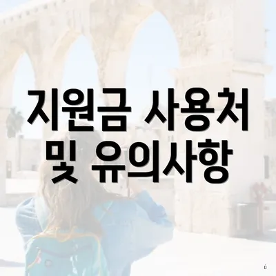 지원금 사용처 및 유의사항