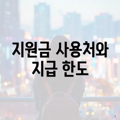 지원금 사용처와 지급 한도