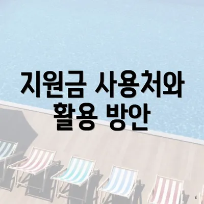 지원금 사용처와 활용 방안
