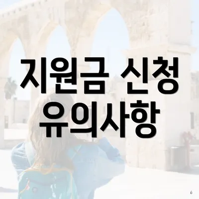 지원금 신청 유의사항