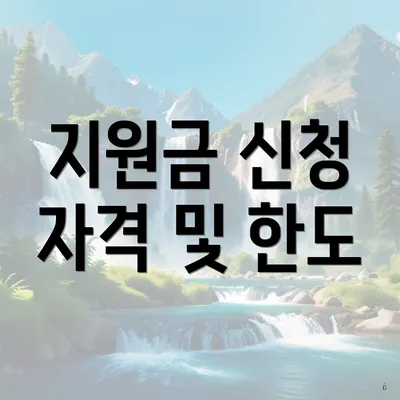 지원금 신청 자격 및 한도