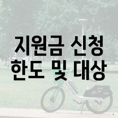 지원금 신청 한도 및 대상