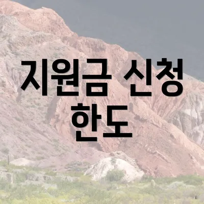 지원금 신청 한도
